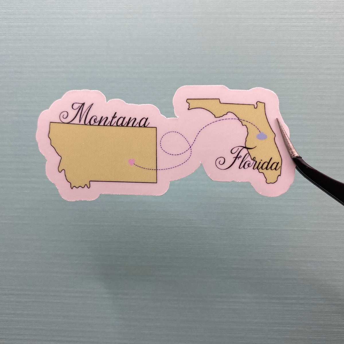 CM Home State Sticker